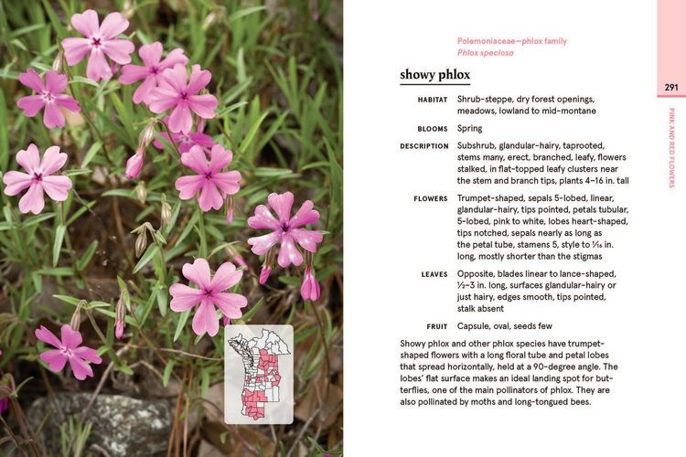 Produktbild: Eastern Washington and Oregon in Bloom
