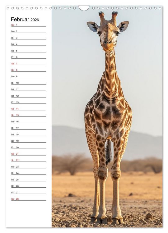 Produktbild: Ganz von vorn (Wandkalender 2026 DIN A3 hoch), CALVENDO Monatskalender