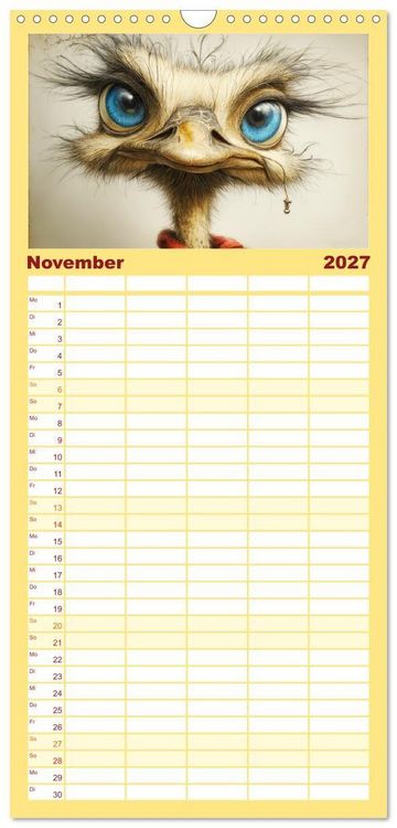 Produktbild: Familienplaner 2027 - Schr&auml;ge V&ouml;gel. Skurrile Portraits mit Charakter und Charme mit 5 Spalten (Wandkalender, 21 x 45 cm) CALVENDO