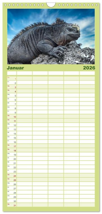 Produktbild: Familienplaner 2026 - Die faszinierende Tierwelt der Galapagos-Inseln mit 5 Spalten (Wandkalender, 21 x 45 cm) CALVENDO