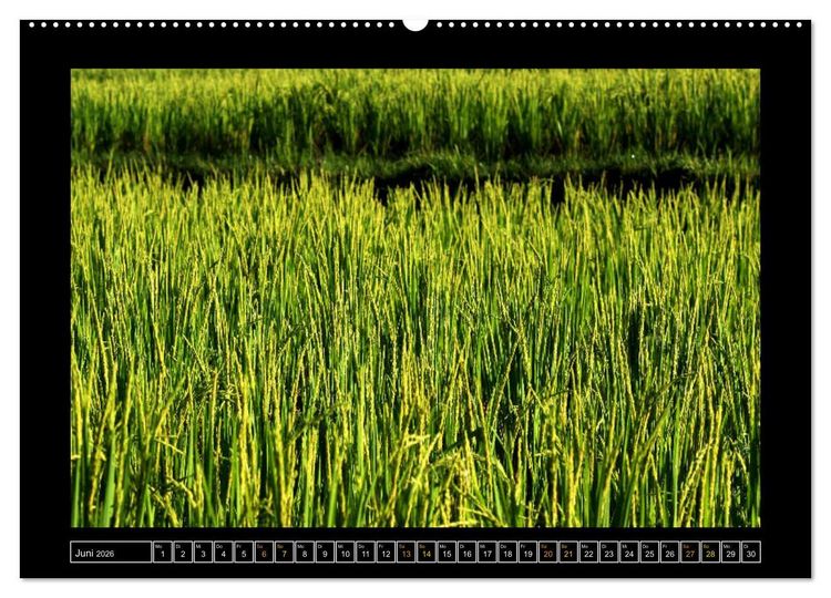 Produktbild: Bali - Details (Wandkalender 2026 DIN A2 quer), CALVENDO Monatskalender
