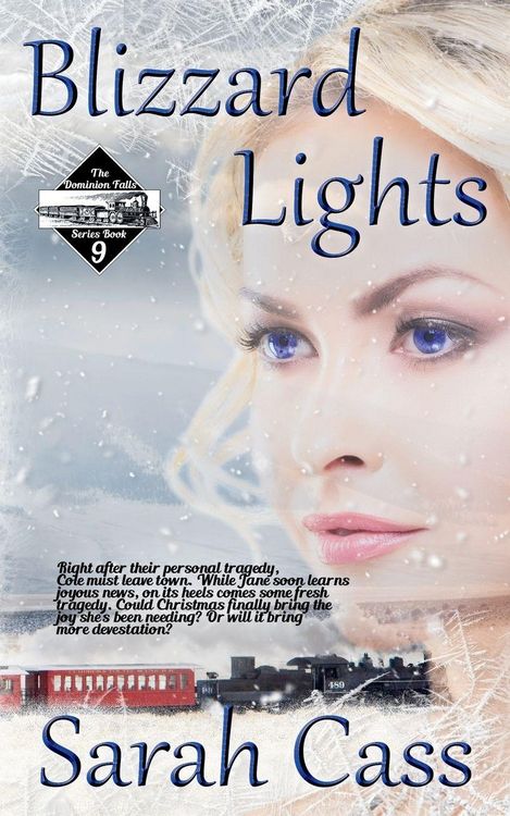 Produktbild: Blizzard Lights (The Dominion Falls Series Book 9)