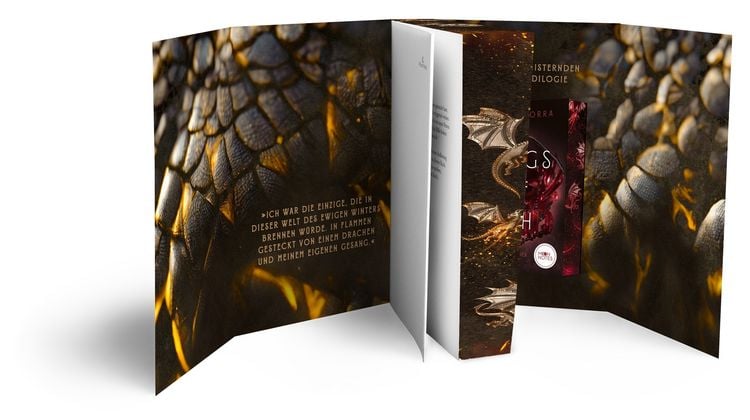 Produktbild: Wings of Ash 1. Schlafende Drachen