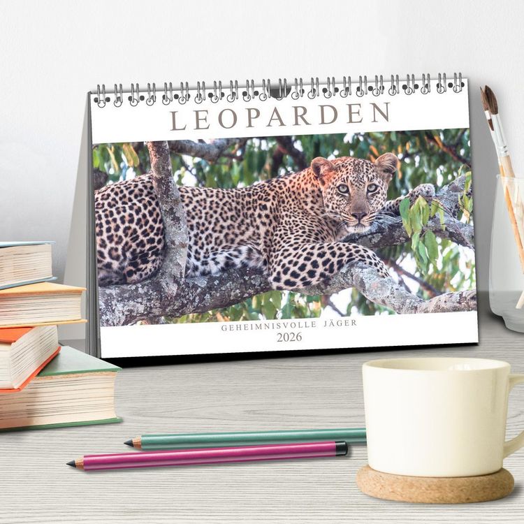 Produktbild: Leoparden - Geheimnisvolle J&auml;ger (Tischkalender 2026 DIN A5 quer), CALVENDO Monatskalender