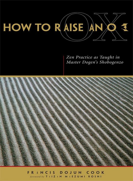 Produktbild: How to Raise an Ox