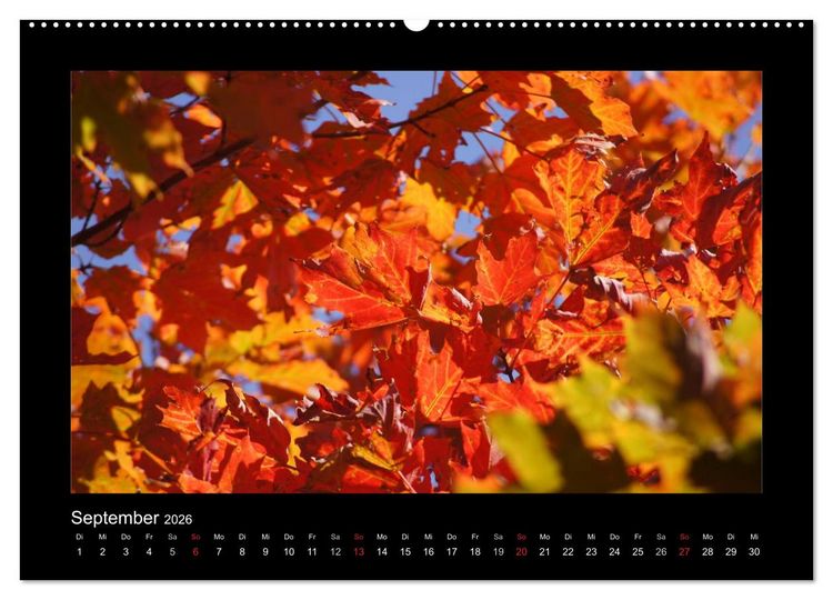 Produktbild: Nova Scotia & Prince Edward Island (Wandkalender 2026 DIN A2 quer), CALVENDO Monatskalender