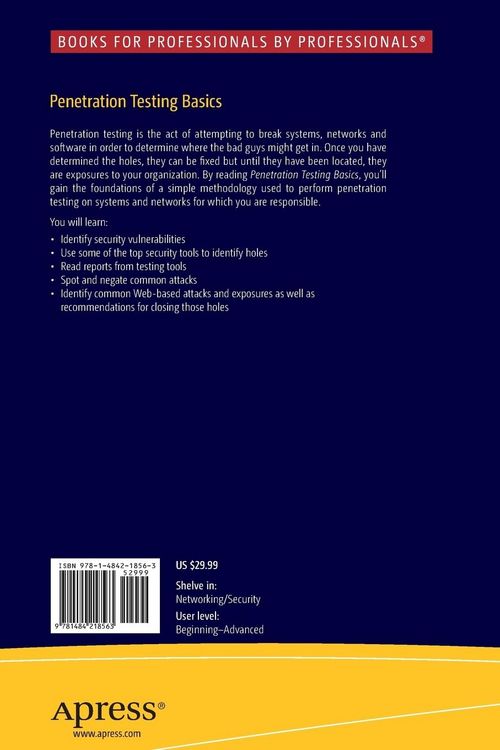 Produktbild: Penetration Testing Basics