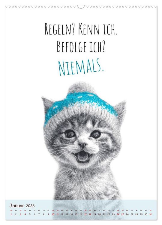 Produktbild: Katzenkult - Coolness auf vier Pfoten (Wandkalender 2026 DIN A2 hoch), CALVENDO Monatskalender
