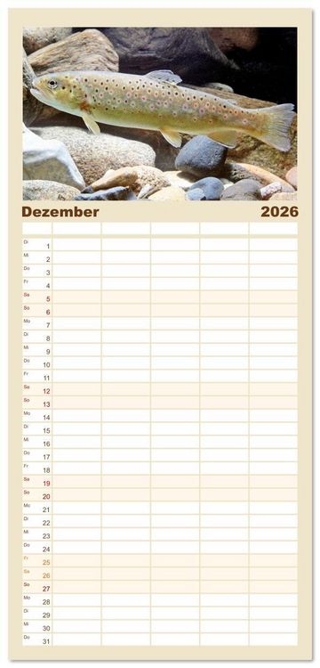 Produktbild: Familienplaner 2026 - Forelle, Hecht und St&ouml;r: Fische in europ&auml;ischen Gew&auml;ssern mit 5 Spalten (Wandkalender, 21 x 45 cm) CALVENDO