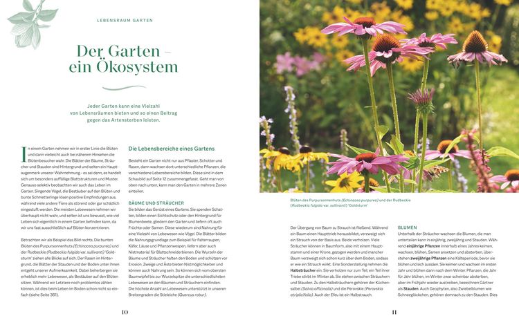 Produktbild: Die Welt in meinem Garten
