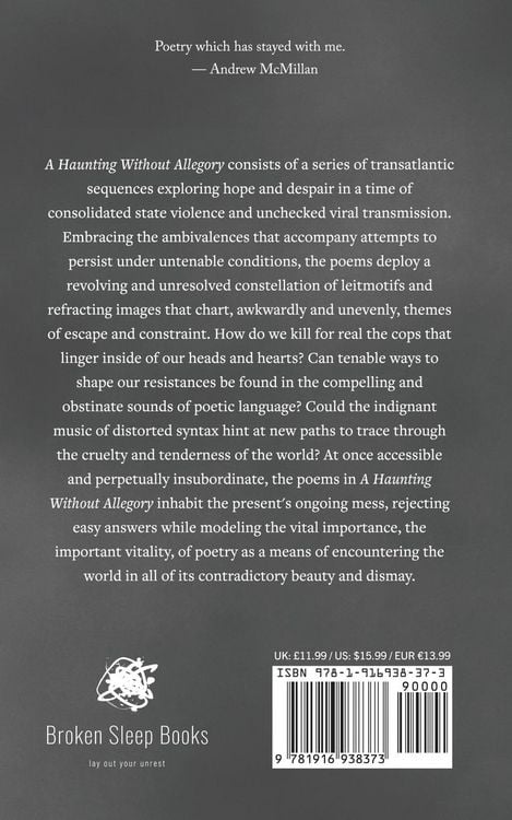 Produktbild: A Haunting Without Allegory