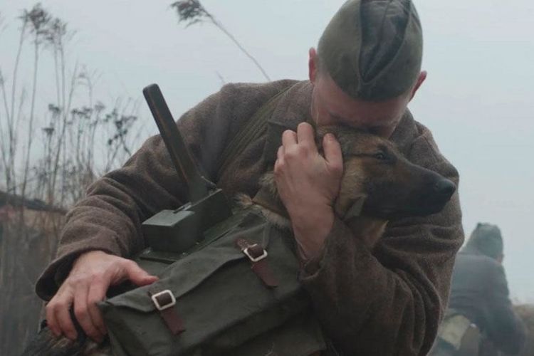 Produktbild: The War Dog - Ihre letzte Hoffnung