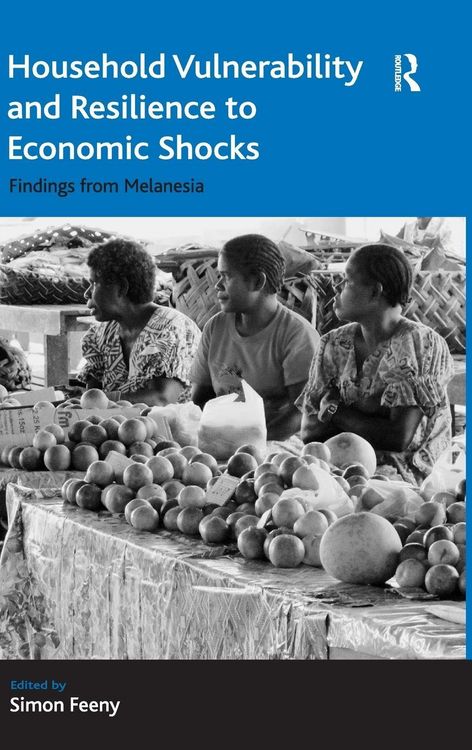 Produktbild: Household Vulnerability and Resilience to Economic Shocks