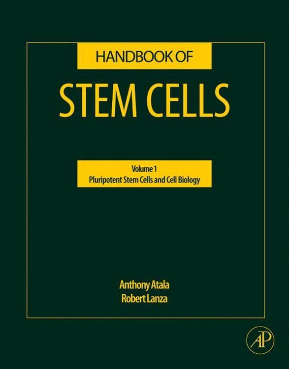 Produktbild: Handbook of Stem Cells