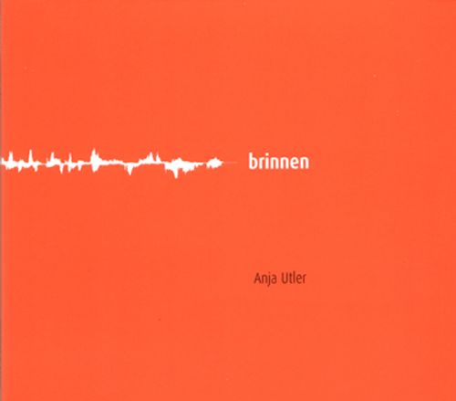 Produktbild: brinnen