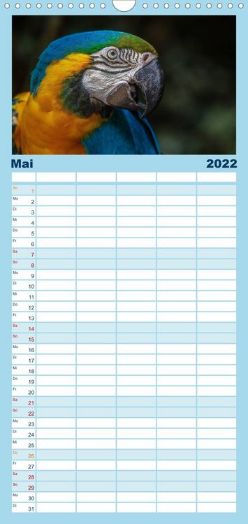 Produktbild: Papageien - Frech, sch&ouml;n und schlau - Familienplaner hoch (Wandkalender 2022 , 21 cm x 45 cm, hoch)