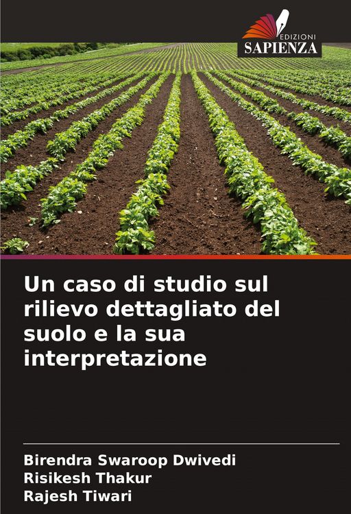Produktbild: Un caso di studio sul rilievo dettagliato del suolo e la sua interpretazione