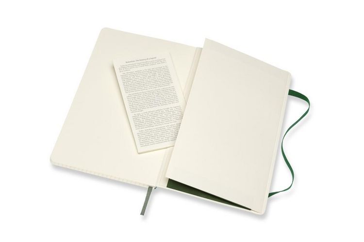 Produktbild: Moleskine Notizbuch Large/A5, Kariert, Myrtengr&uuml;n