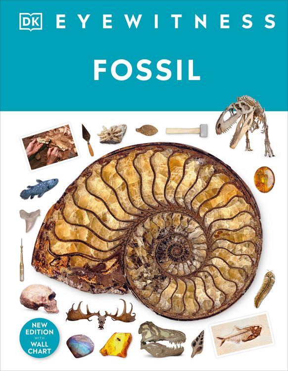 Produktbild: Fossil