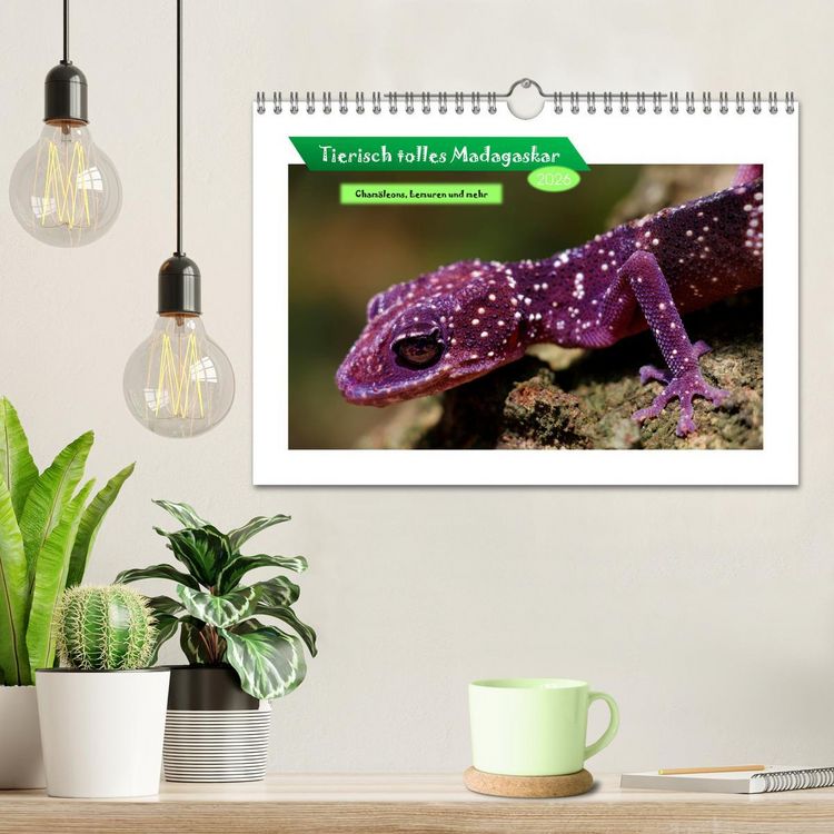 Produktbild: Tierisch tolles Madagaskar - Cham&auml;leons, Lemuren und mehr (Wandkalender 2026 DIN A4 quer), CALVENDO Monatskalender