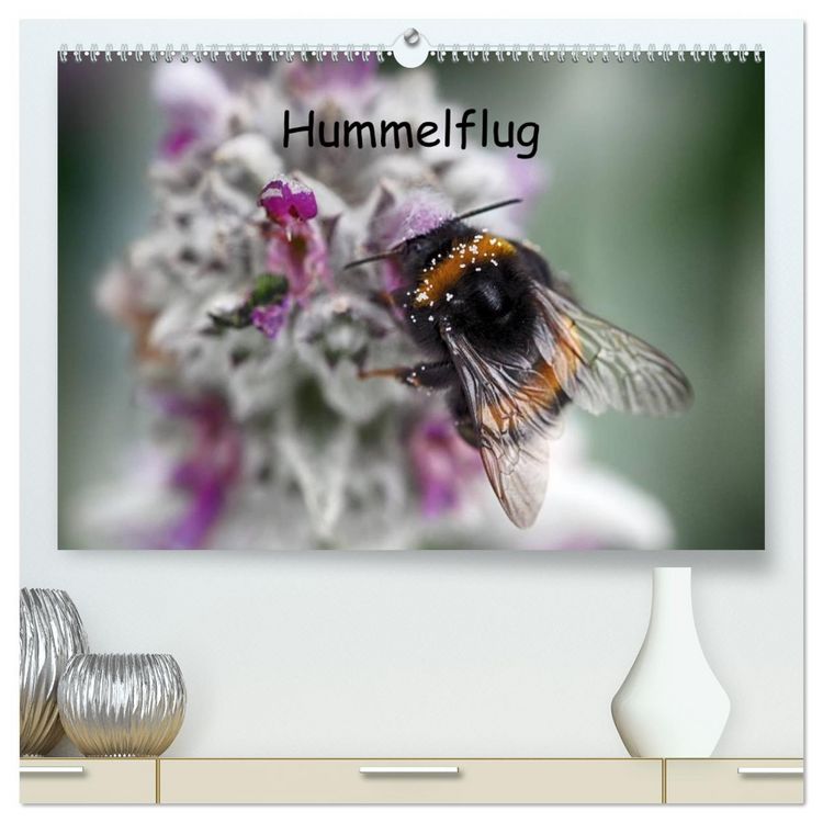 Produktbild: Hummelflug (hochwertiger Premium Wandkalender 2026 DIN A2 quer), Kunstdruck in Hochglanz