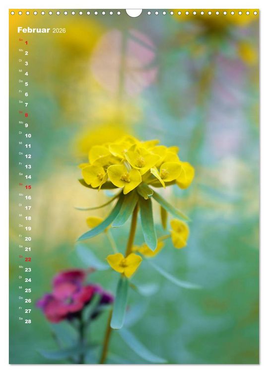 Produktbild: Colors of Nature (Wandkalender 2026 DIN A3 hoch), CALVENDO Monatskalender