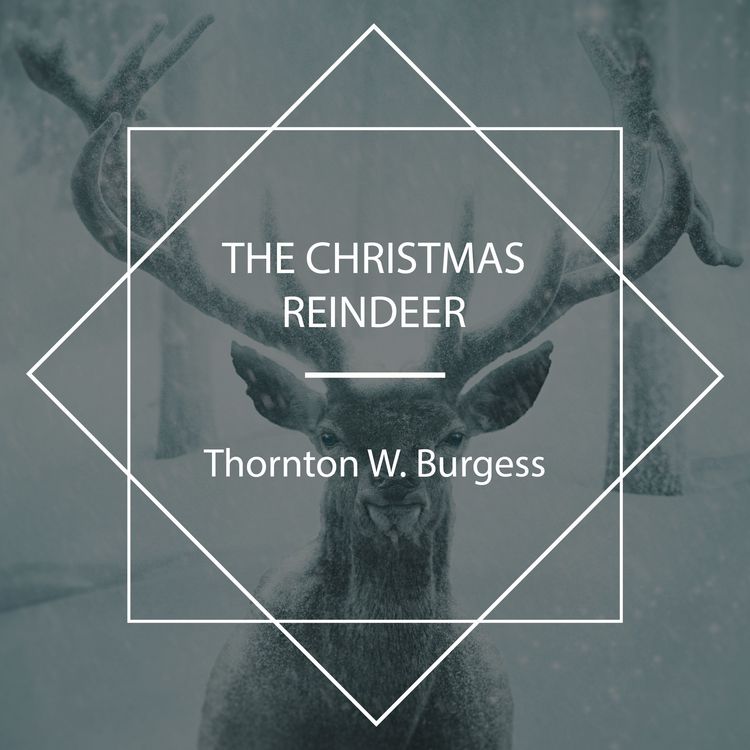 Produktbild: The Christmas Reindeer
