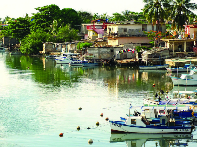 Produktbild: Cuba: The Cookbook
