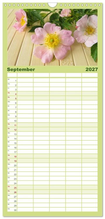 Produktbild: Familienplaner 2027 - Mit Pflanzenkraft nat&uuml;rlich heilen mit 5 Spalten (Wandkalender, 21 x 45 cm) CALVENDO