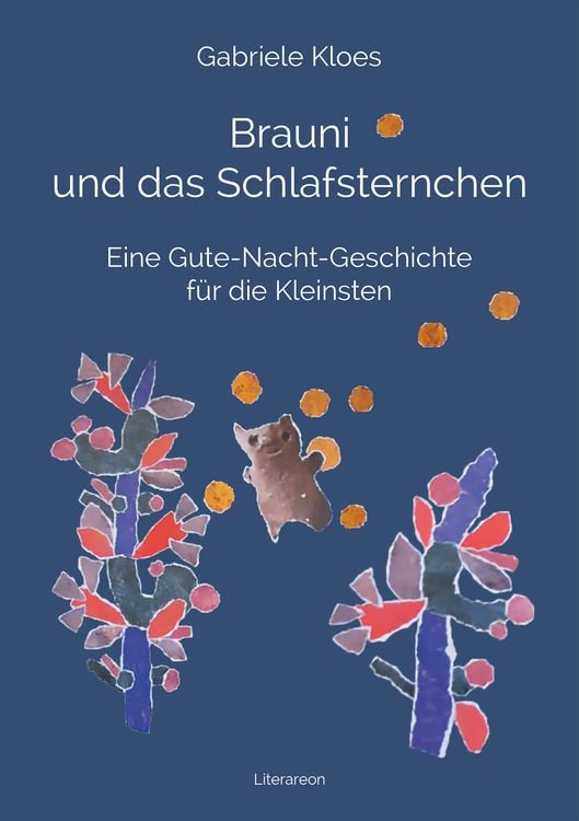 Produktbild: Brauni und das Schlafsternchen