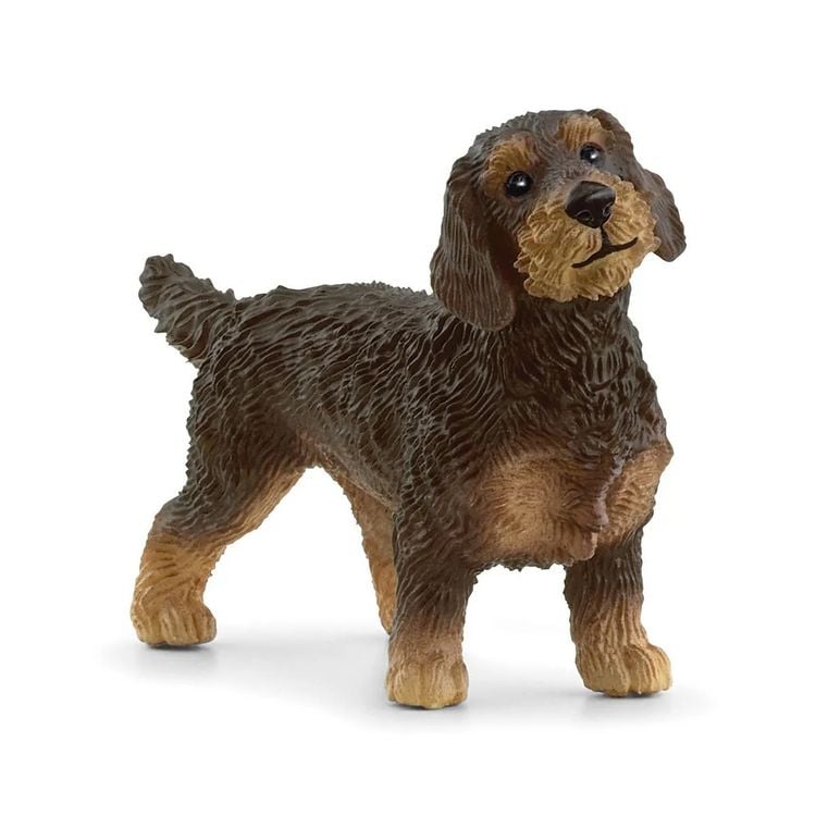 Produktbild: schleich&reg; Farm World Rauhaardackel 3,8cm