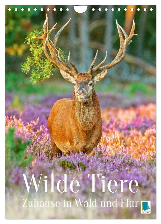 Produktbild: Wilde Tiere: Zuhause in Wald und Flur (Wandkalender 2026 DIN A4 hoch), CALVENDO Monatskalender