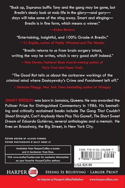 Produktbild: The Good Rat LP