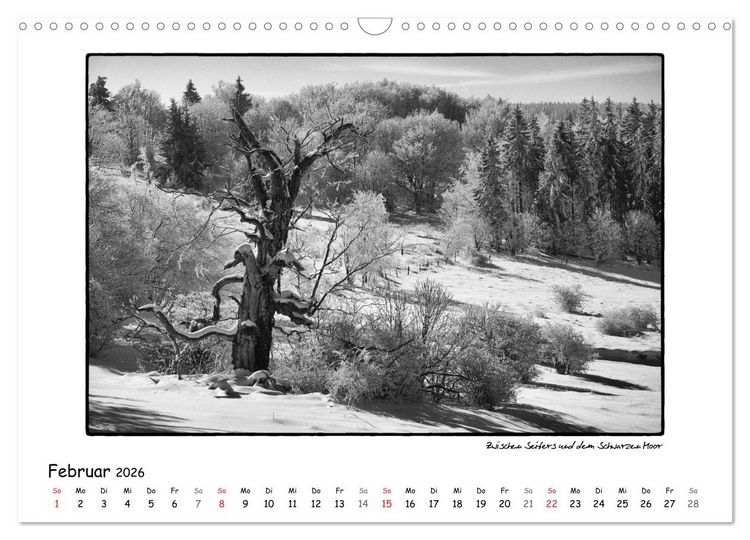 Produktbild: RH&Ouml;N SCHWARZ-WEISS (Wandkalender 2026 DIN A3 quer), CALVENDO Monatskalender