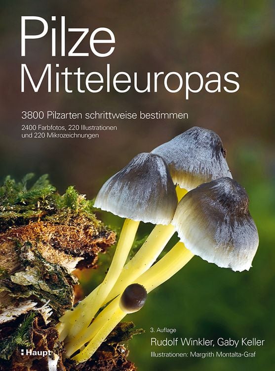 Produktbild: Pilze Mitteleuropas