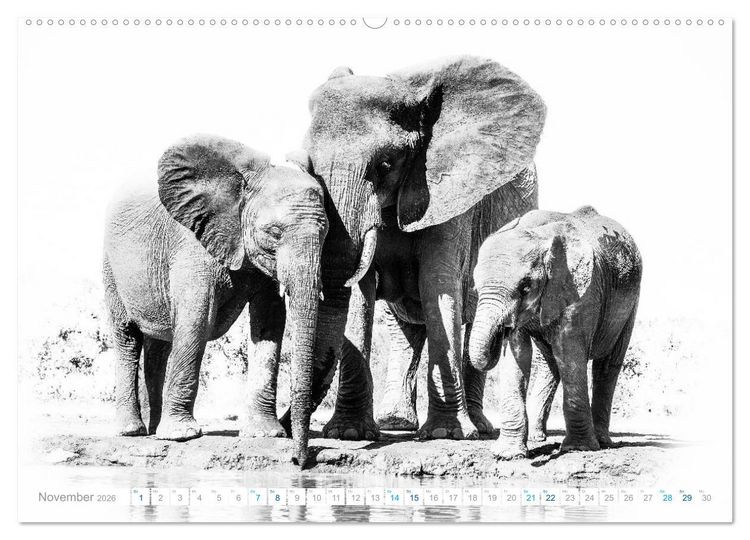Produktbild: AFRIKA - Schwarz-weiss Fotografien im modernen "High Key" Look (Wandkalender 2026 DIN A2 quer), CALVENDO Monatskalender