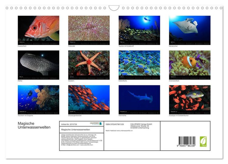 Produktbild: Magische Unterwasserwelten (Wandkalender 2026 DIN A3 quer), CALVENDO Monatskalender