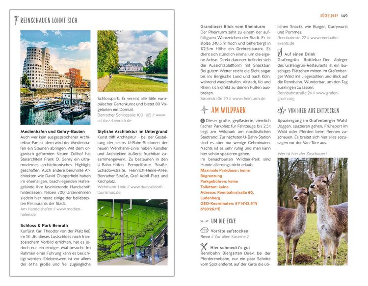 Produktbild: Wild City Trips