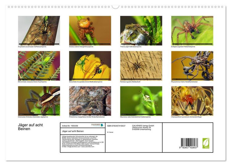 Produktbild: J&auml;ger auf acht Beinen (hochwertiger Premium Wandkalender 2026 DIN A2 quer), Kunstdruck in Hochglanz
