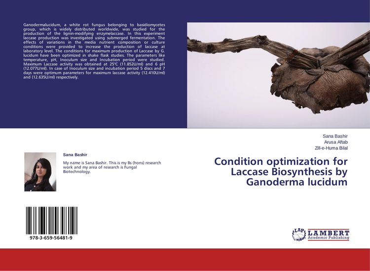 Produktbild: Condition optimization for Laccase Biosynthesis by Ganoderma lucidum
