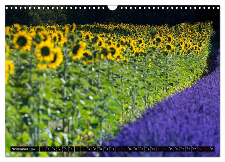 Produktbild: Provence im Rausch der Farben (Wandkalender 2026 DIN A3 quer), CALVENDO Monatskalender