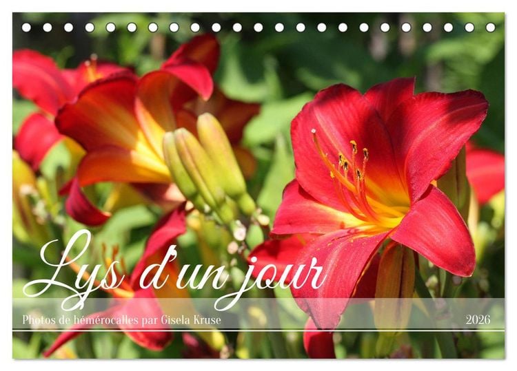 Produktbild: Lys d'un jour (Calendrier de bureau 2026 DIN A5 vertical), CALVENDO calendrier mensuel