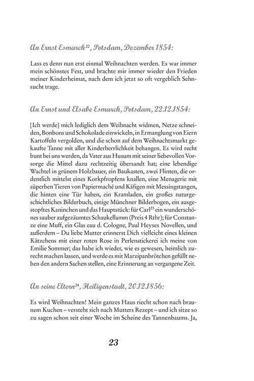 Produktbild: Theodor Storms Weihnachten