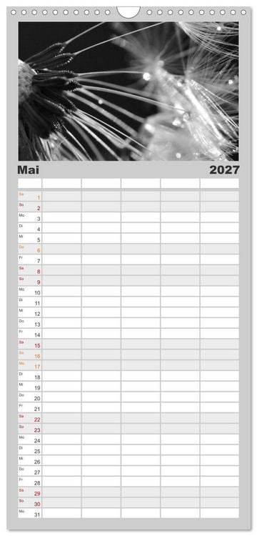 Produktbild: Familienplaner 2027 - Pusteblume - Impressionen in schwarzwei&szlig; mit 5 Spalten (Wandkalender, 21 x 45 cm) CALVENDO