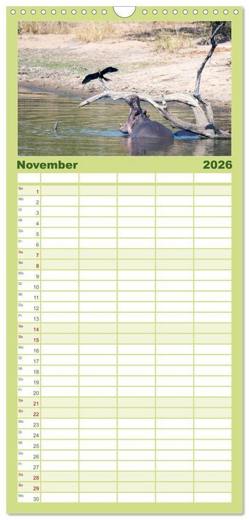 Produktbild: Familienplaner 2026 - Nilpferde, Kolosse im Wasser mit 5 Spalten (Wandkalender, 21 x 45 cm) CALVENDO