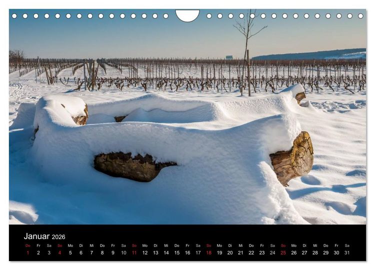 Produktbild: Ingelheim und Umgebung (Wandkalender 2026 DIN A4 quer), CALVENDO Monatskalender