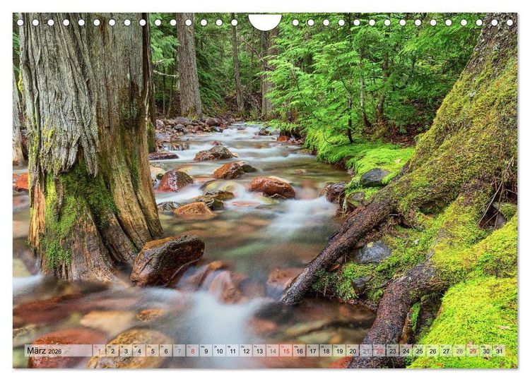Produktbild: Color of Nature - Magie der Farben (Wandkalender 2026 DIN A4 quer), CALVENDO Monatskalender