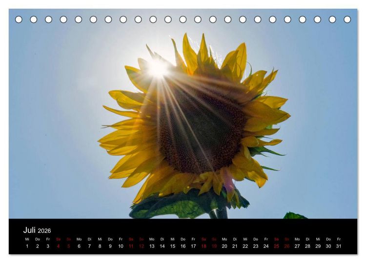 Produktbild: Blumen der Sonne (Tischkalender 2026 DIN A5 quer), CALVENDO Monatskalender