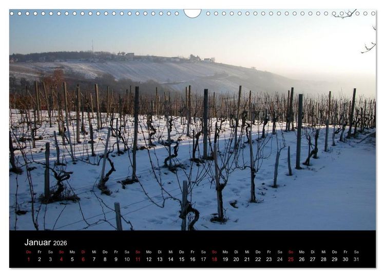 Produktbild: Weinidylle im S&uuml;dburgenland (Wandkalender 2026 DIN A3 quer), CALVENDO Monatskalender