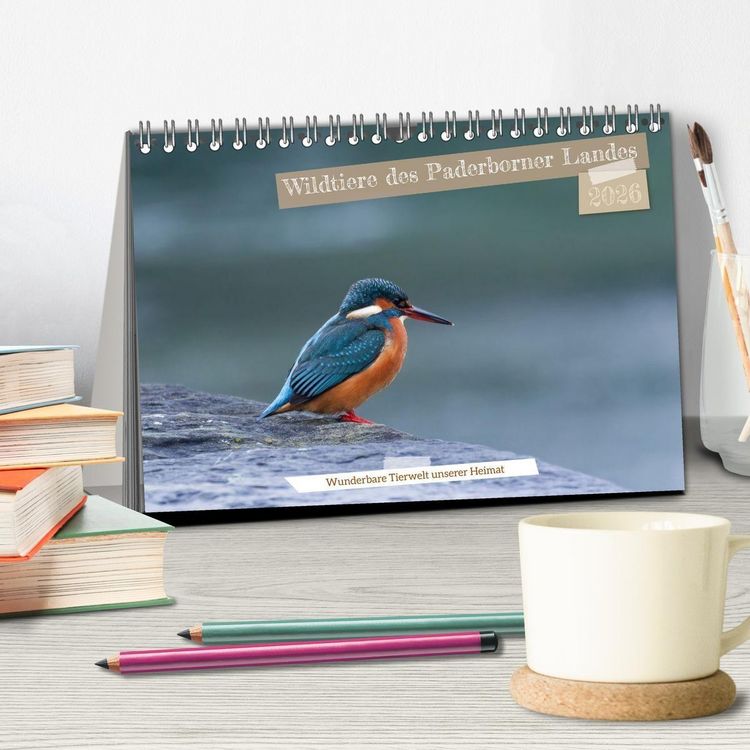 Produktbild: Wildtiere des Paderborner Landes (Tischkalender 2026 DIN A5 quer), CALVENDO Monatskalender